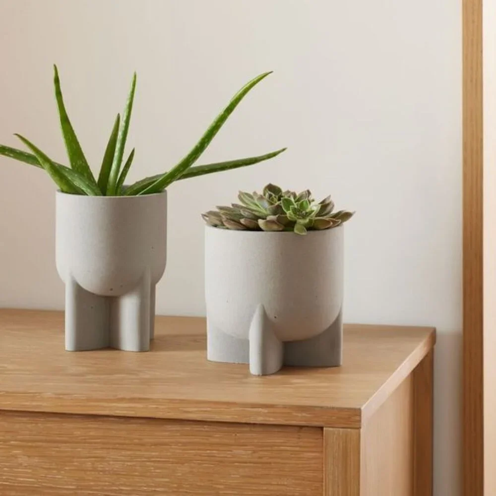 West Elm Monti Concrete Tabletop Planter Pot Gray Minimalist Brutalist Modern